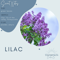 Image 1 of Lilac