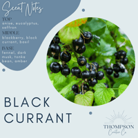 Image 1 of Black Currant