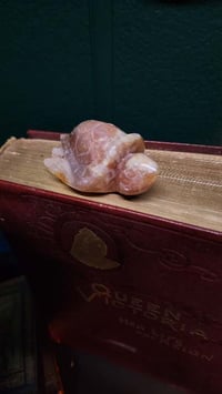 Flower agate turtle