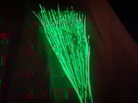 Image 5 of If Your Eyes Keep Moving You Won't See Much (IYE) - Black Long Sleeve