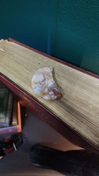Flower agate moon dish #3