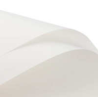 White Clear Floral Paper 