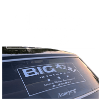 Image 1 of BIG MISTAKE