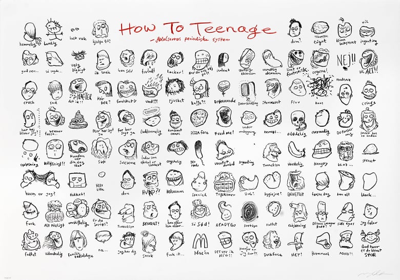 Image of How to Teenage