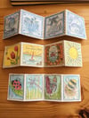 Mini Concertina card £3.99