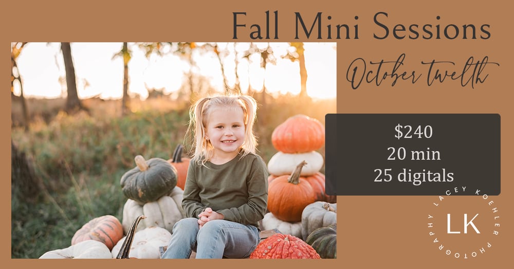 Image of Fall Mini Session 2024 - RESERVATION