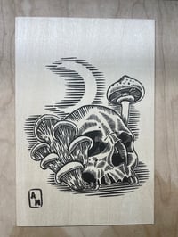 ‘Rebirth’ on plywood