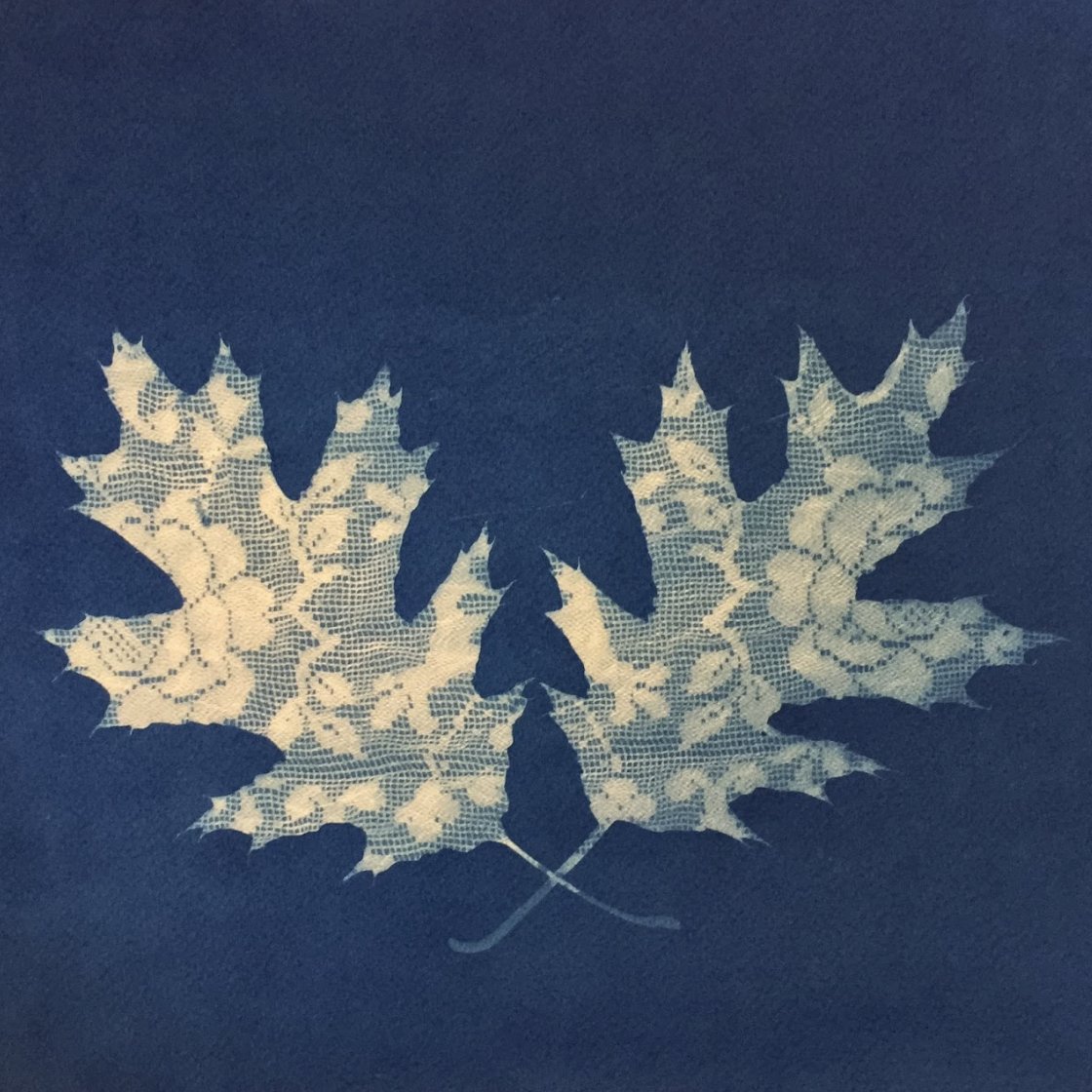 Image of Intro to Cyanotype