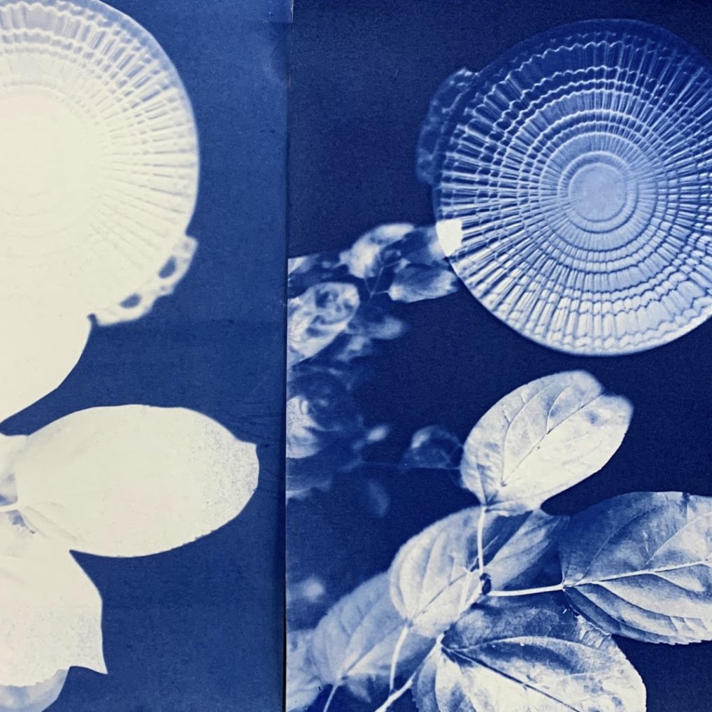 Image of Problem Solving Cyanotypes 