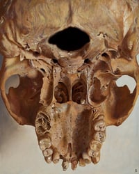 Image 1 of JEFF SRSIC "BENEATH THE REMAINS" PRINT