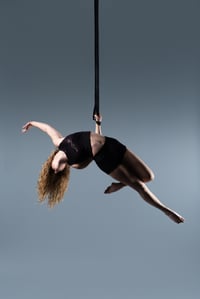 Image 1 of Wide Aerial Straps