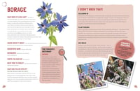 Image 4 of Foraging: The Complete Guide for Kids and Families