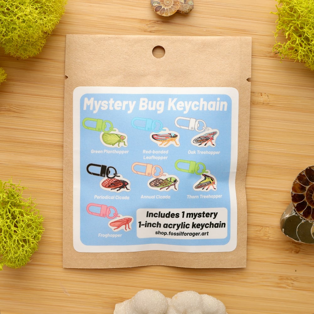 Mystery Mini Bug Acrylic Keychain