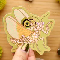 Image 1 of Posing Spiny Flower Mantis Sticker