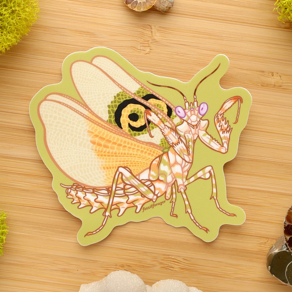 Posing Spiny Flower Mantis Sticker