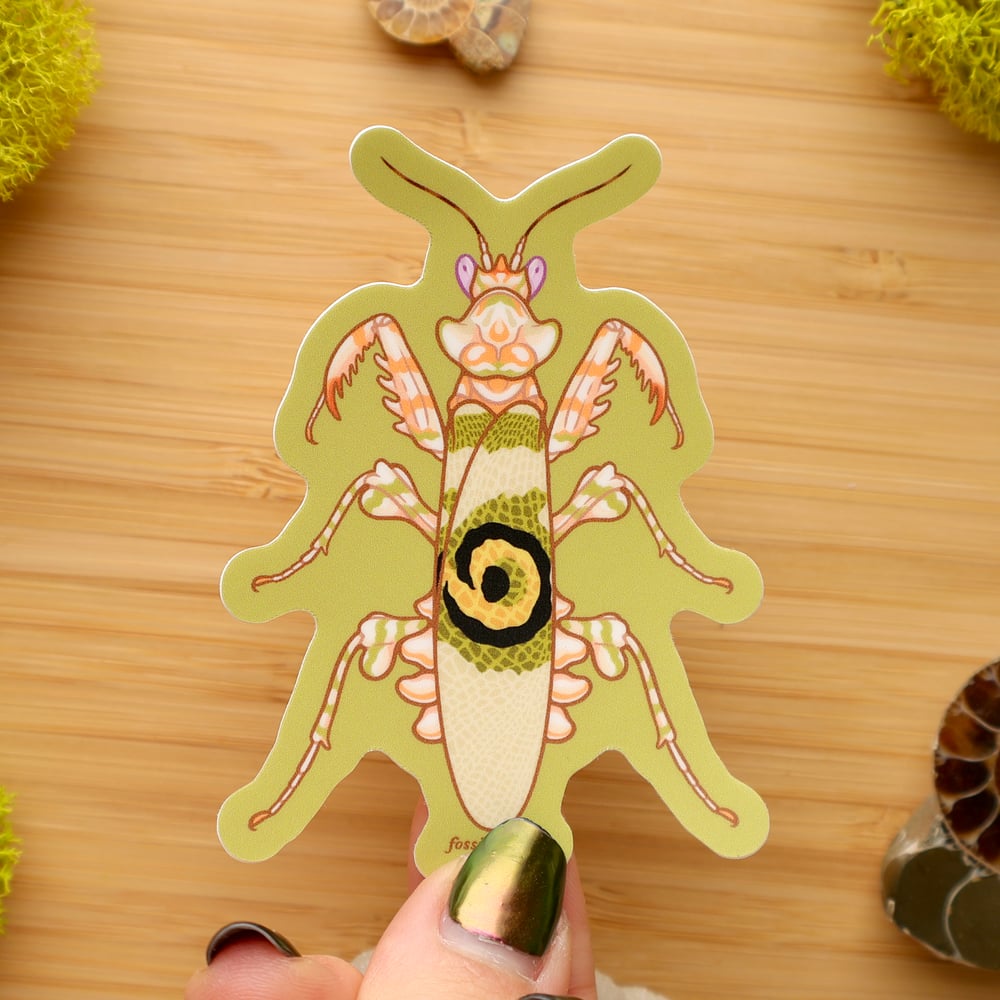 Spiny Flower Mantis Sticker