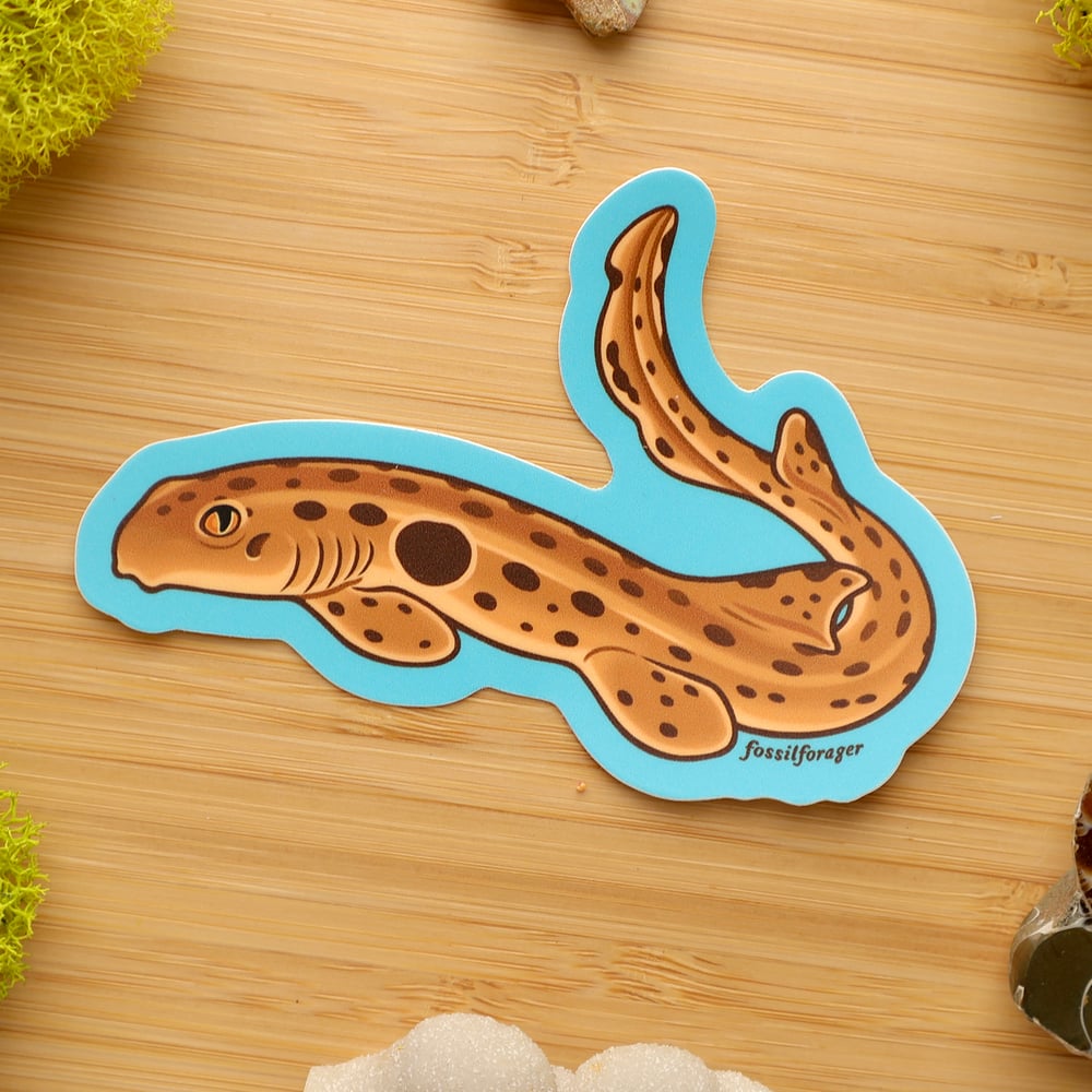 Epaulette Shark Sticker