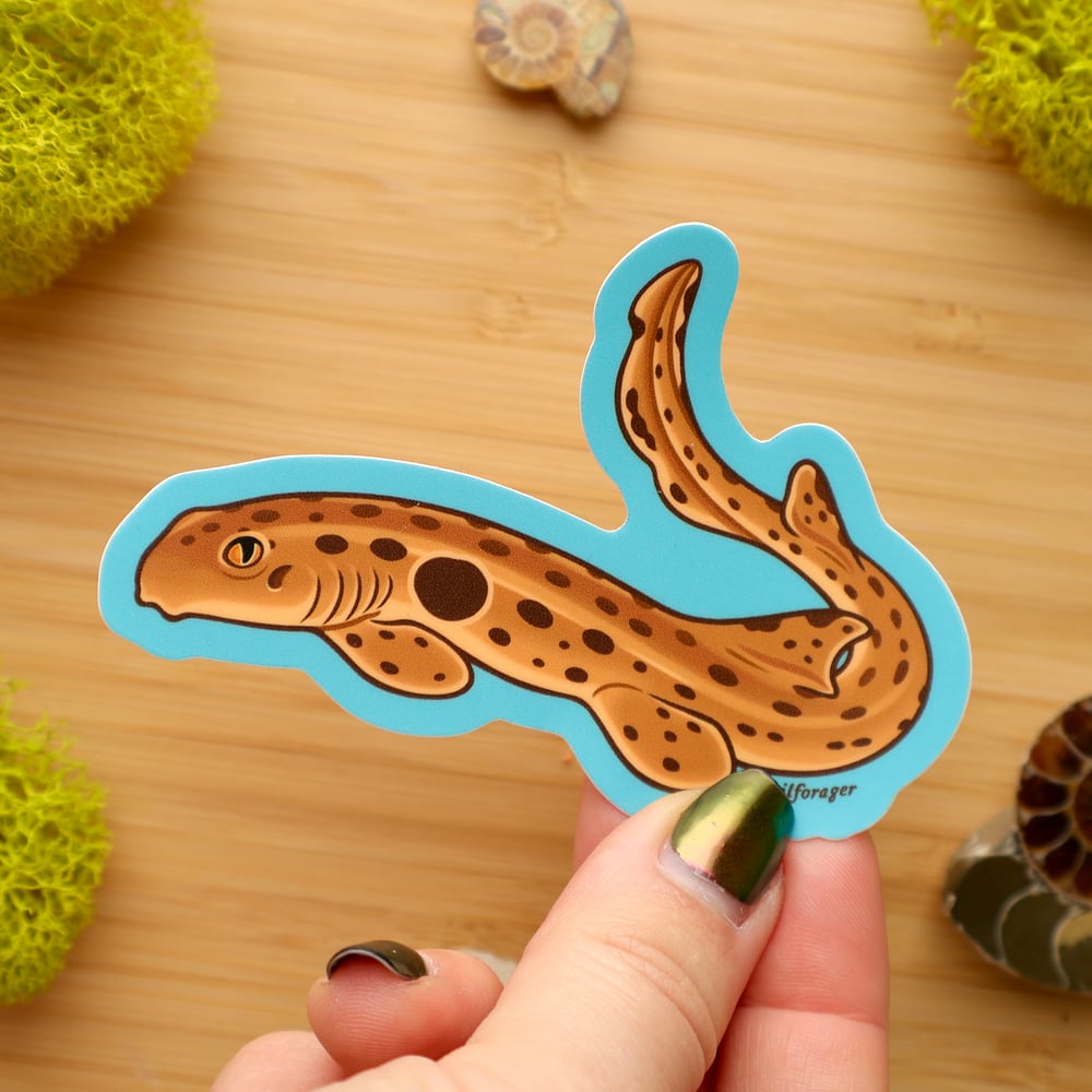 Epaulette Shark Sticker