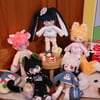 [Pre-order] Fan-made Plave 13cm Plushies