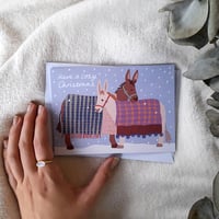 Image 2 of Cosy Donkeys Christmas Card