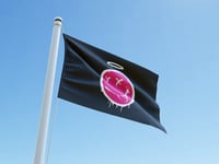 NU SKOOL PINK SMILEY FLAG
