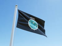 NU SKOOL BLUE SMILEY FLAG