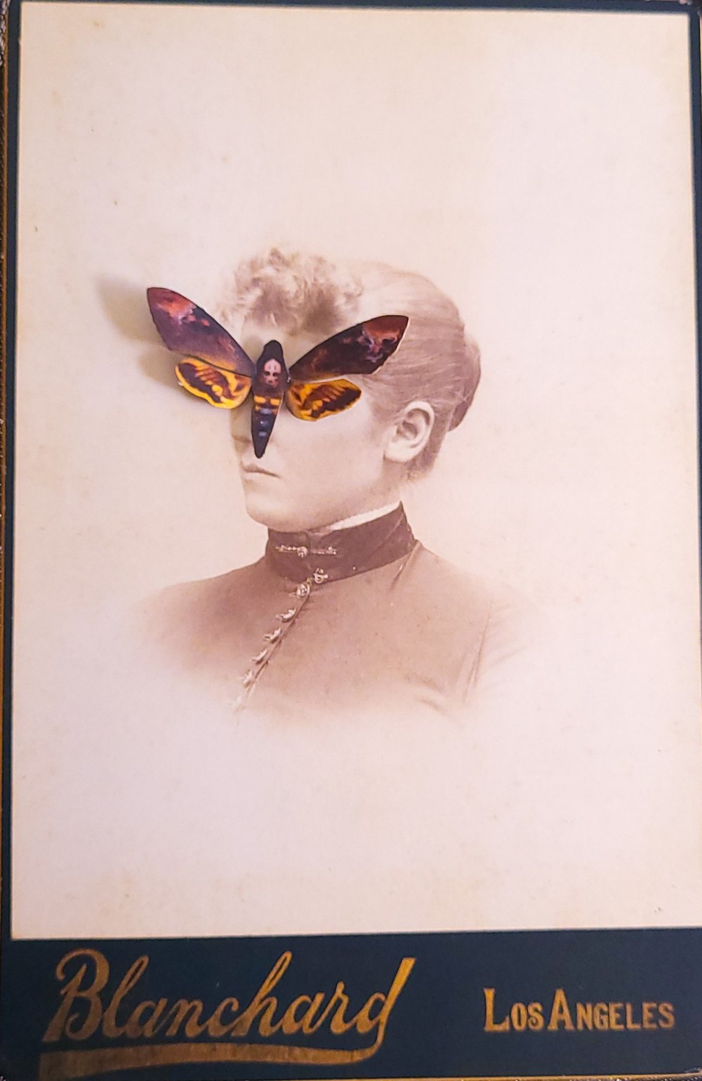 Image of "Lost in Los Angeles"