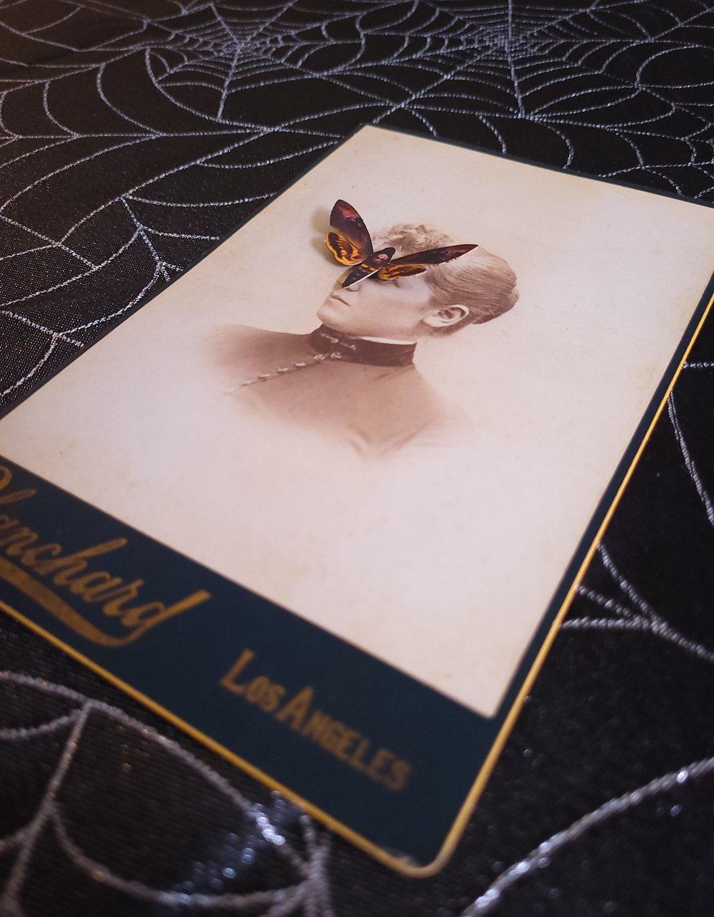 Image of "Lost in Los Angeles"