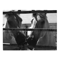 Image 2 of Soft Throw Blanket Ponies from Murdo #3