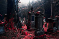 Peaceful Death ❈ Crimson