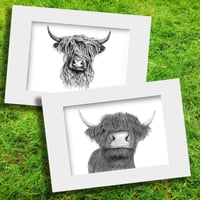 The Highland Cow Pair of Prints