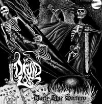 Image 1 of DRUID LORD / SKELETAL SPECTRE - Split 7-Inch Record