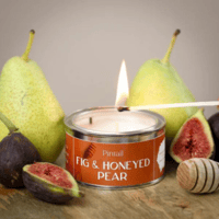 Fig and Honeyed Pear Pintail Candle