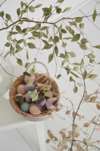 Image 5 of Branche végétale en laine feutrée