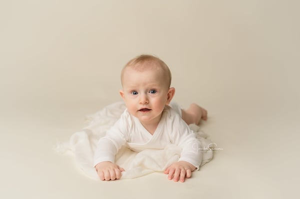 Image of Sitter Session \ 6 month session