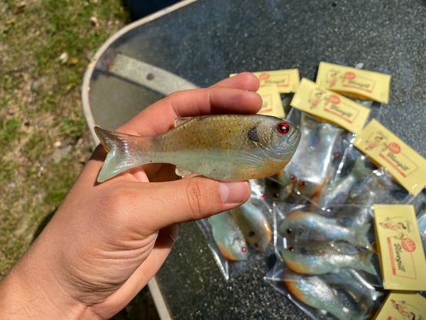 Image of Bob’s Bluegill 2PK (Redbreast Sunfish)