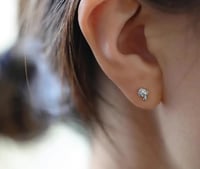 Image 3 of Mushie Stud Earrings