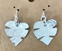 Image 3 of Cheese plant leaf earrings.