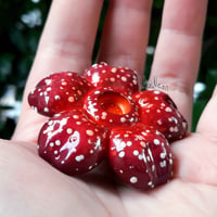 Image 2 of Rafflesia  3D Pin - PREORDER