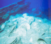 Great Piece at ~Half of Typical Retail for Shipwreck Discovery Plates/Bowls