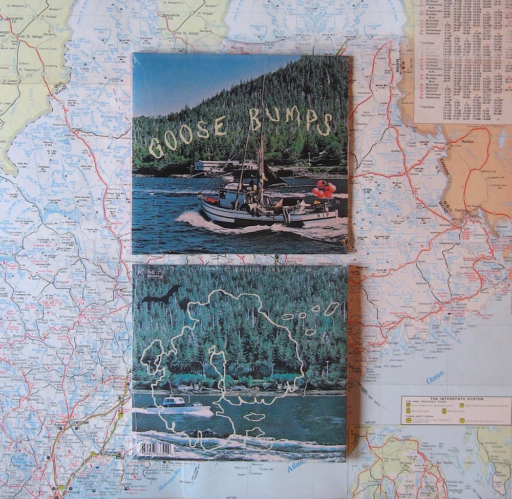 Image of βΎ Goose Bumps CD