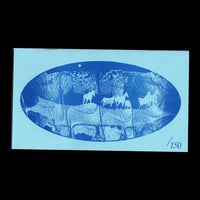 Image 5 of Appetite