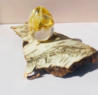 Image 1 of Little Sparkles, glæde