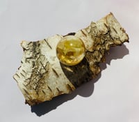 Image 3 of Little Sparkles, glæde