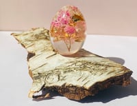 Image 1 of Little Sparkles, kærlighed