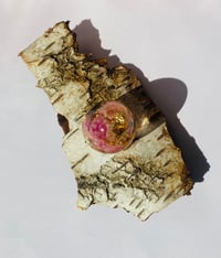 Image 2 of Little Sparkles, kærlighed