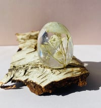 Image 2 of Hvide brudeslør