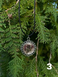 Image 3 of Pressed Flower Necklaces [With Border]