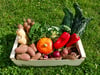 Large Organic Veg Box 3- 4 People