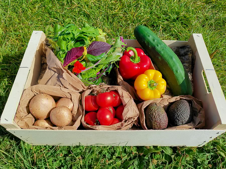 Large Organic Salad Box 34 People Trinity Farm Shop & Café, Cossall